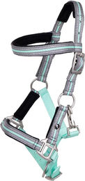 QHP Fohlenhalfter Flore mit Stirnband aus Polyester in Ice Green für Minishettys – Bild 1 von 2