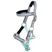 Produktbild von QHP Fohlenhalfter Flore mit Stirnband Shetty Ice Green