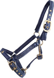 QHP Fohlenhalfter Lily aus Polyester in Blau – Bild 1 von 2