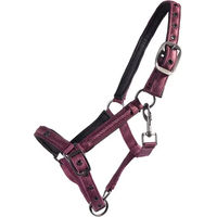 Produktbild von QHP Fohlenhalfter Lily aus Polyester in Rot und Lila