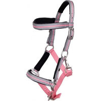 Produktbild von QHP Fohlenhalfter mit Stirnband aus Polyester in Rosa