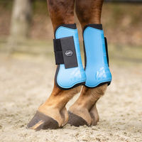 Produktbild von QHP Gamaschen Mini Shetty Farbe Sky