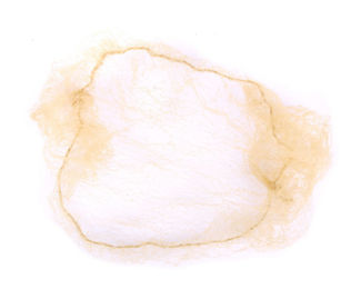 Produktbild von QHP Haarnetz für Frauen Beige Standard