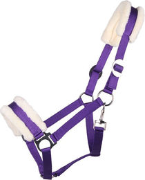 QHP Halfter Cali für Pferde in Schwarz – Bild 1 von 2