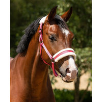 Produktbild von QHP Halfter Cali für Shetty in Fuchsia/Rosa
