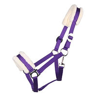 Produktbild von QHP Halfter Cali mit Kunstfellpolster für Warmblut in Passion Flower Lila