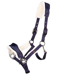 Produktbild von QHP Halfter Classy mit Kunstfellpolster für Vollblut in Navy Blau