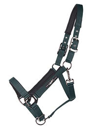 QHP Halfter Deluxe weich gepolstert 3-fach verstellbar für Warmblut in Dunkelgrün – Bild 1 von 1