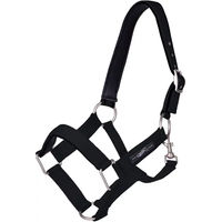 Produktbild von QHP Halfter Extra stark für Warmblut in Schwarz