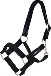 QHP Halfter Extra stark für Warmblut in Schwarz mit Metallbeschlägen – Bild 1 von 2