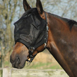 QHP Halfter-Fliegenmaske Combi für Ponys in Schwarz aus Polyester – Bild 1 von 4