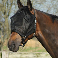 Produktbild von QHP Halfter-Fliegenmaske Combi für Ponys in Schwarz aus Polyester