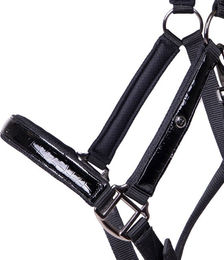 Produktbild von QHP Halfter Set Djune aus Kunstleder in Schwarz für Vollblut