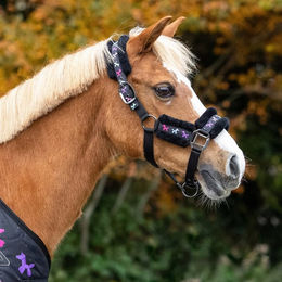QHP Halfter-Set Isalyn Unicorn Dreams für Shetty Pferde mit Longiergurt – Bild 1 von 1