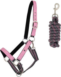 Produktbild von QHP Halfter und Longiergurt Set für Ponys in Rosa