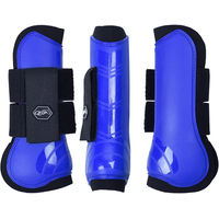 Produktbild von QHP Hartschalen-Gamaschen vorne innen aus Neopren für Ponys in Blau
