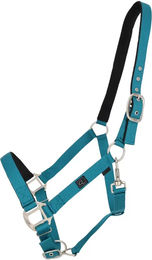 QHP Heftriem für Ponys mit Futter in Blau und Türkis – Bild 1 von 1