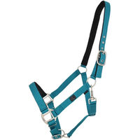 Produktbild von QHP Heftriem für Ponys mit Futter in Blau und Türkis