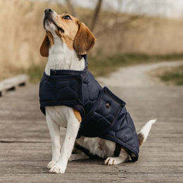 QHP Hundedecke Classy Autoschondecke aus Polyester in Blau – Bild 1 von 4