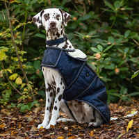 Produktbild von QHP Hundedecke Turnout 1200D Collection Cloud Dancer Größe 55