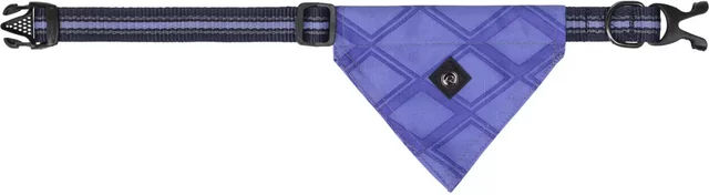 Produktbild von QHP Hundehalsband mit Bandana aus Polyester in Lila Größe XS