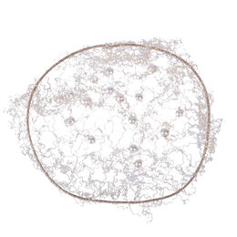 Produktbild von QHP Invisible Pearl Haarnetz für Frauen in Transparent und Beige