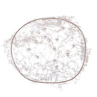 Produktbild von QHP Invisible Pearl Haarnetz für Frauen in Transparent und Beige
