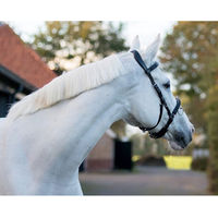 Produktbild von QHP Kappzaum aus Leder für Ponys in Schwarz oder Braun