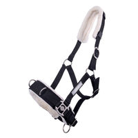 Produktbild von QHP Kappzaum aus Nylon in Schwarz für Warmblut