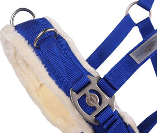 QHP Kappzaum für Pferde in Kobaltblau COB – Bild 1 von 2