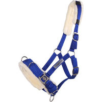 Produktbild von QHP Kappzaum für Ponys aus Kunststoff in Blau