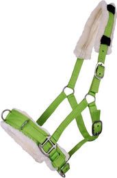 Produktbild von QHP Kappzaum Halfter-Kombi mit Kunstfell-Polsterung und Edelstahl-D-Ringen für Ponys in Rosa oder Grün