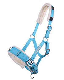 Produktbild von QHP Kappzaum und Halfter-Kombination für Ponys mit Kunstfell-Polsterung und 3 Edelstahl-D-Ringen in Sky Blue