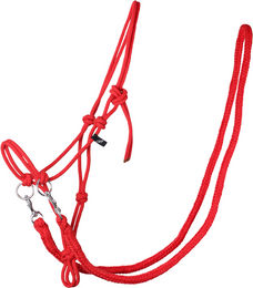 QHP Knotenhalfter mit Zügeln aus robustem Polyester für Warmblut in Rot – Bild 1 von 2