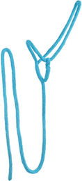 QHP Knotenhalfter Q-essentials aus Polyester für Pferde in Sky Blau Türkis – Bild 1 von 2