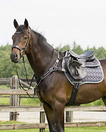 Produktbild von QHP Ledertrense Sedna für Vollblut mit Gelpads und anatomischem Genickstück in Schwarz