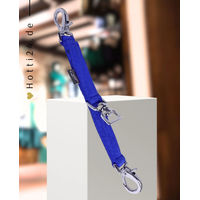 Produktbild von QHP Longierbrille für Pferde in Kobaltblau