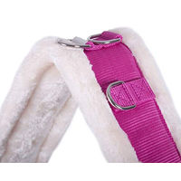 Produktbild von QHP Longiergurt Ontario für Shetty in Fuchsia aus Polyester