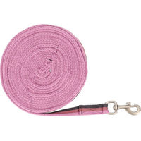 Produktbild von QHP Longierleine Collection aus Nylon in Cherry Pink 8 Meter