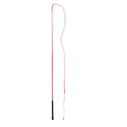 Produktbild von QHP Longierpeitsche aus Polyester in Rot