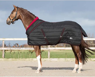 QHP Luxury Collection Stalldecke mit Fleecekragen und Kreuzgurten Schwarz 145 cm – Bild 1 von 4