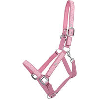 Produktbild von QHP Lyvia Pferdehalfter aus Kunststoff in Rosa für Vollblut