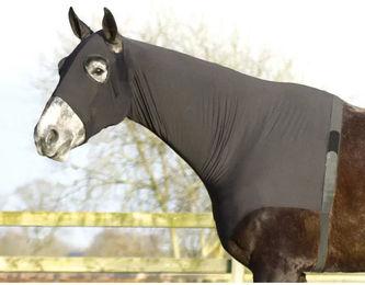 QHP Nackenschutz für Pferde aus Elastan in Schwarz Größe L – Bild 1 von 2