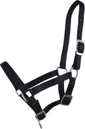 QHP Nylon Fohlenhalfter Rosa 3fach verstellbar – Bild 1 von 3