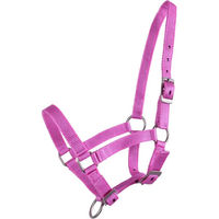 Produktbild von QHP Nylonhalfter für Fohlen in Rosa, 3-fach verstellbar