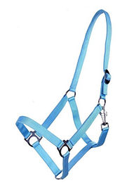 Produktbild von QHP Nylonhalfter für Shettys mit verstellbarem Genickstück in Sky Blau