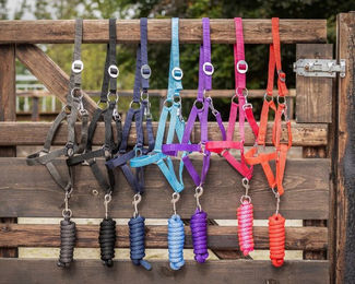 QHP Nylonhalfter Q-essentials mit Schiebeschnalle für Warmblut in Sky Blau – Bild 1 von 2