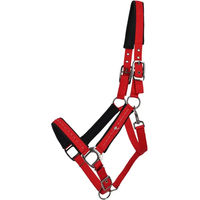 Produktbild von QHP Oakleigh Halfter aus Seil in Rot