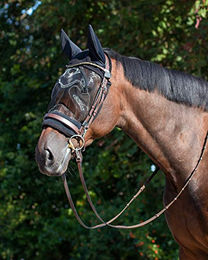Produktbild von QHP Ohrenhaube mit Fliegenschutzmaske für Vollblut in Schwarz mit Klettverschluss