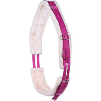 Produktbild von QHP Ontario Longiergurt für Warmblut in Rosa aus Polyester